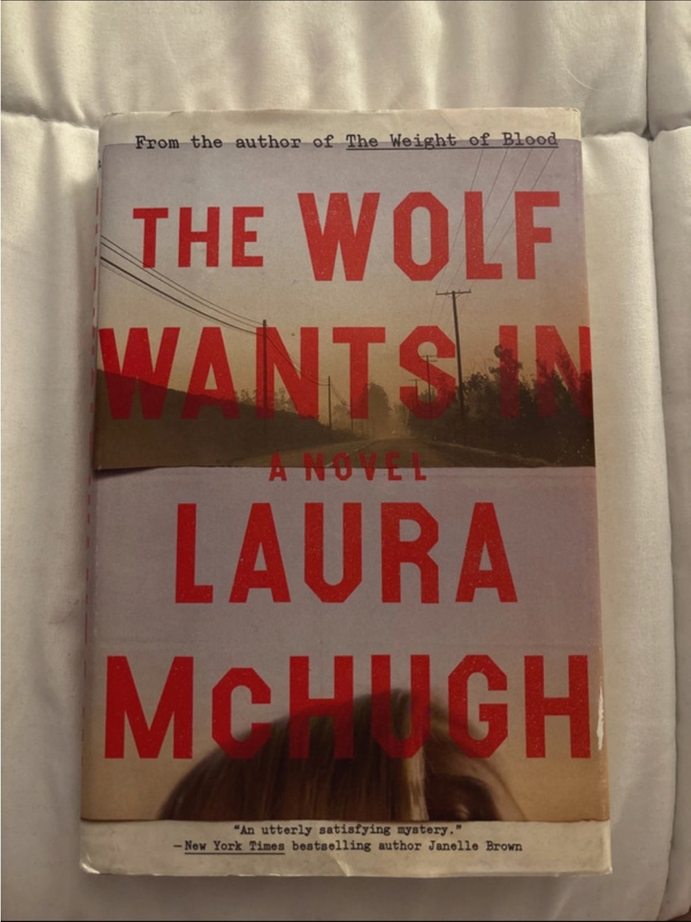 the wolf wants in by laura mchugh